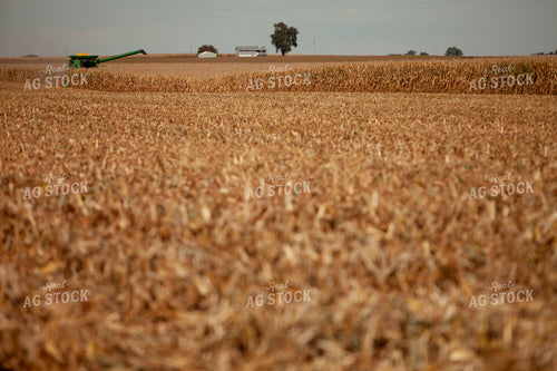 Harvest 1780
