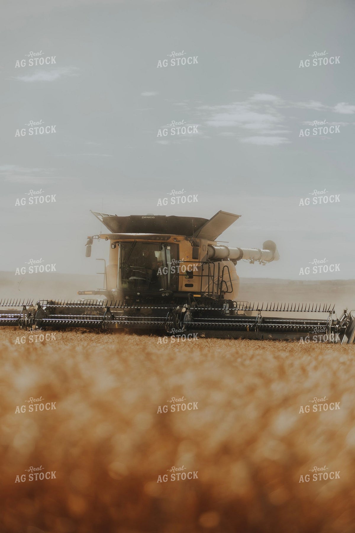 Combine Harvester Cutting Through Golden Wheat Field 413007