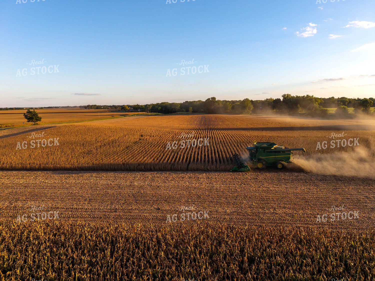 Soybean Harvest 115844