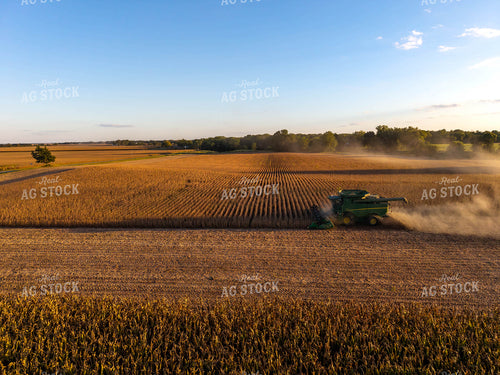 Soybean Harvest 115844