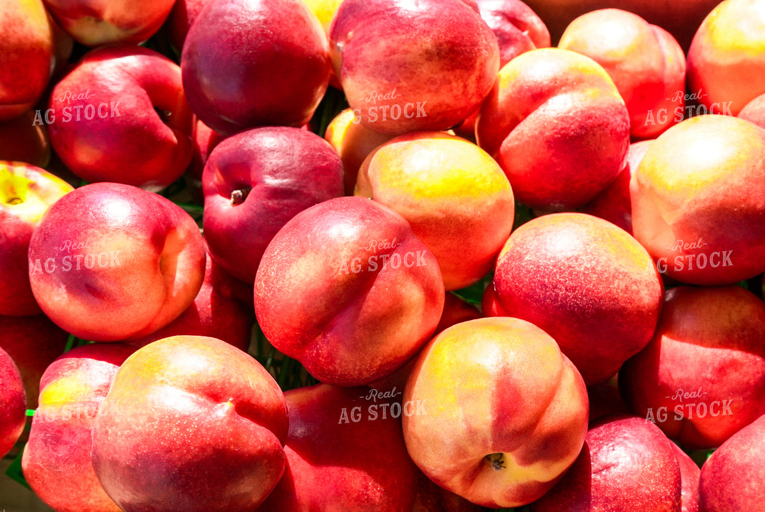 Peaches 128133
