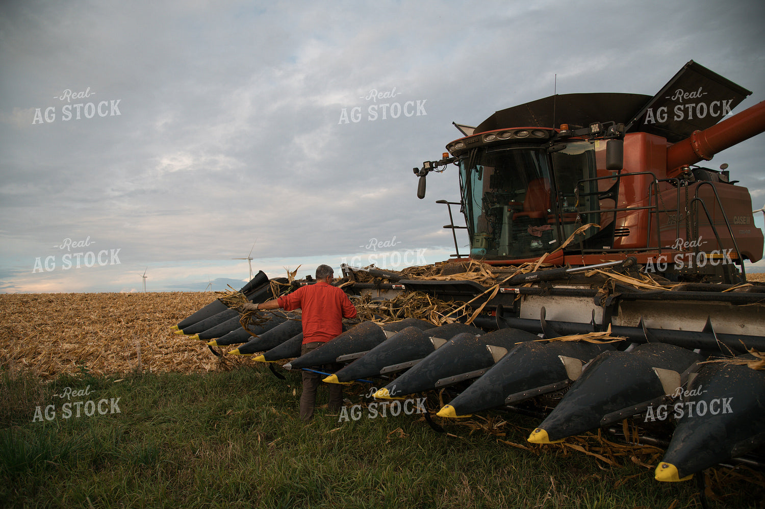 Farmer Fixing Combine at Corn Harvest 26026