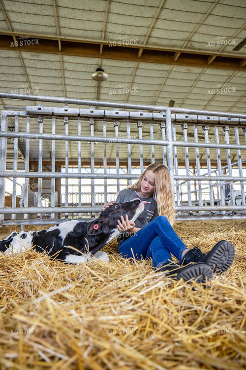 Farm Kid with Holstein Calf 270369