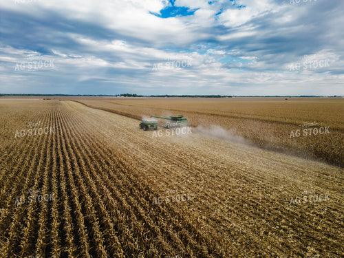 Corn Harvest 115105