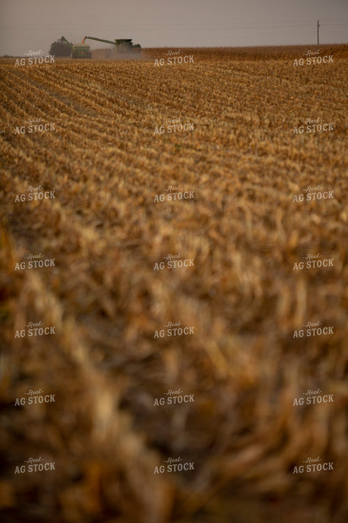 Harvest 1733