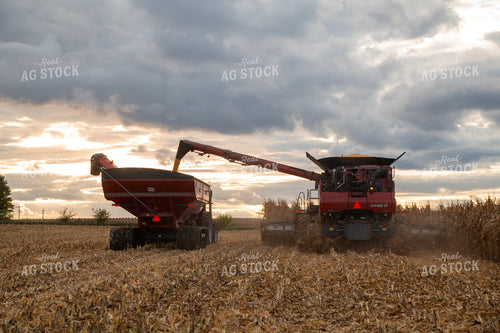 Combine Unloading Corn into Auger Wagon on the Go 25580