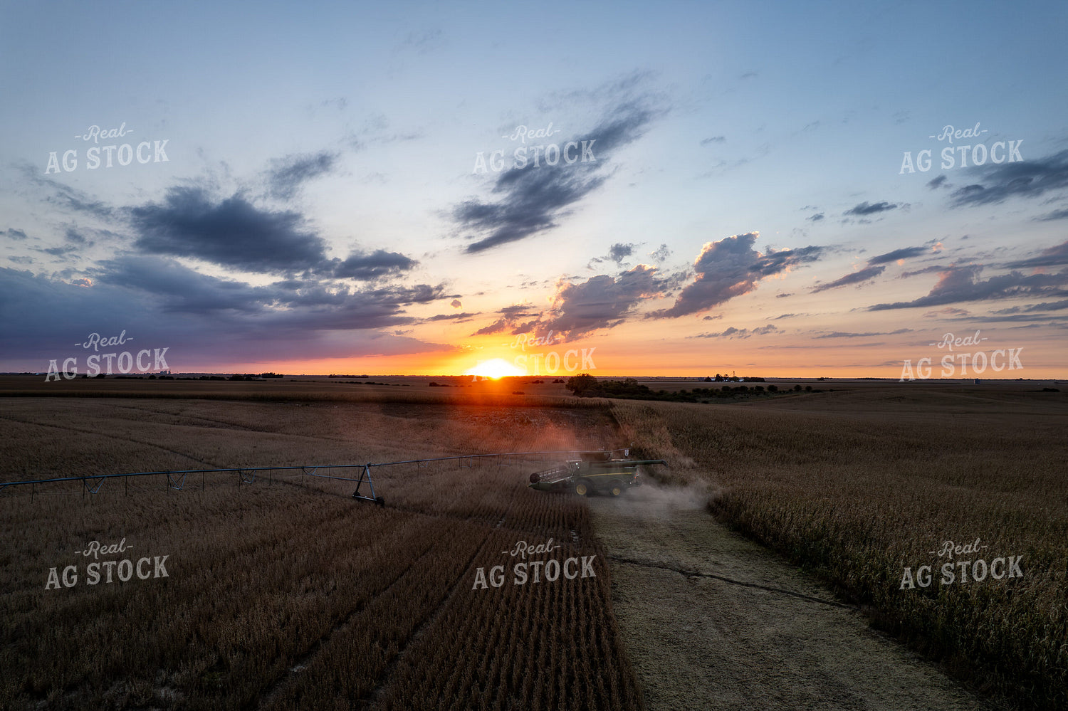 Aerial of Corn Harvest at Sunset 65836