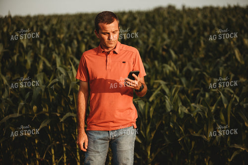 Farmer Looking at Phone next to Corn Field 4548