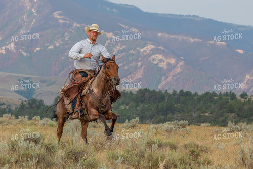 Cowboy Riding Horse 290059