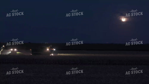 Corn Harvest at Night 239014
