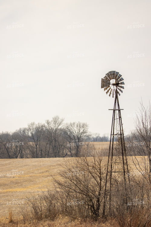 Windmill 162015