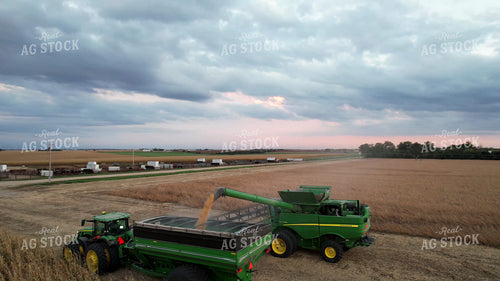Corn Harvest 65500
