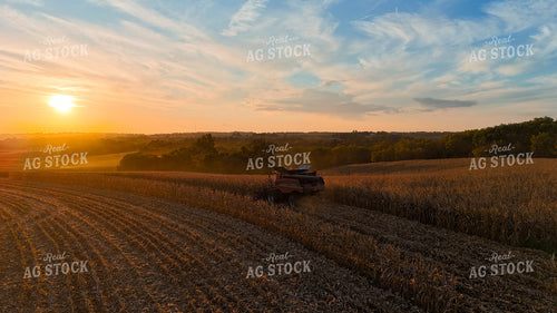 Corn Harvest 191283