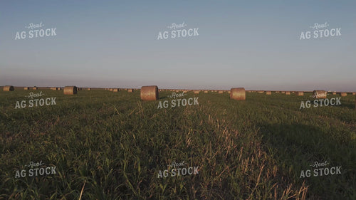 Round Bales in Field 239409