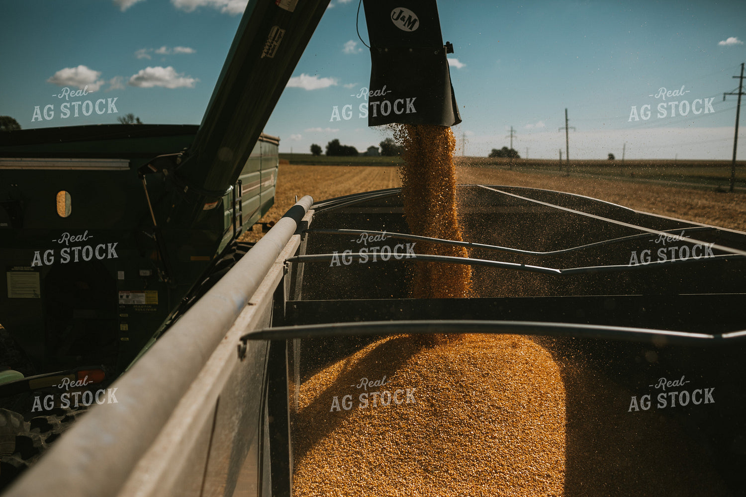 Grain Cart Dumping Corn into Truck 4710