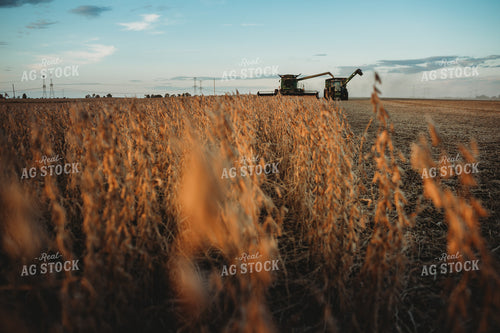 Combine Unloading on the go into Grain Cart at Sunset 3457