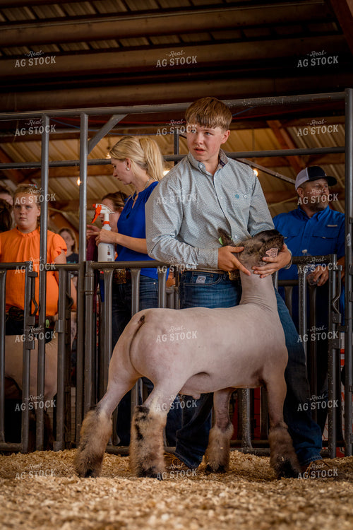 Showing Goats 97174