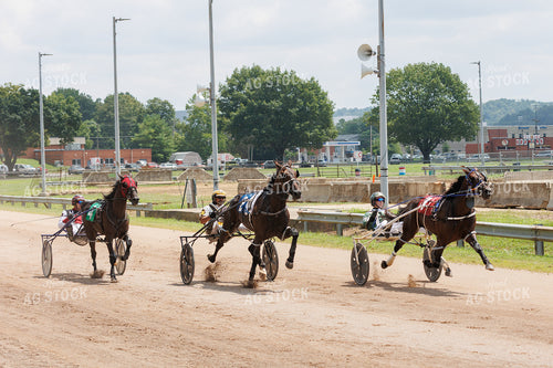 Harness Racing 52932
