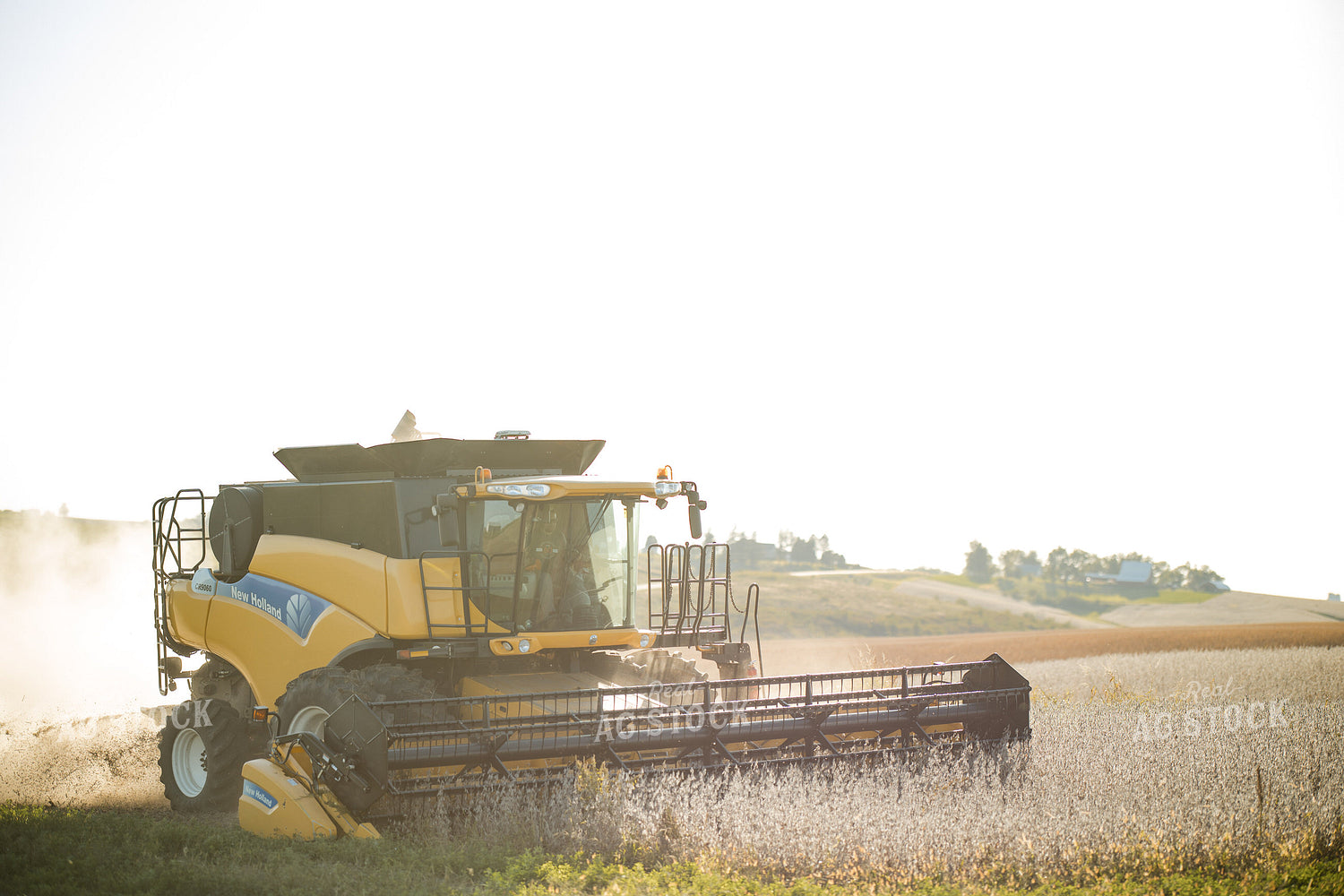 Soybean Harvest 215108