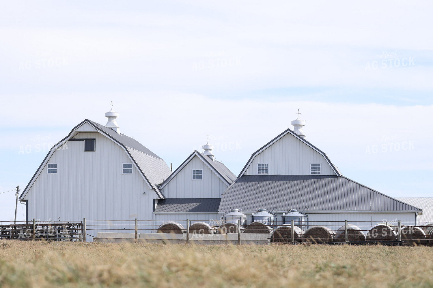 White Barn 160466