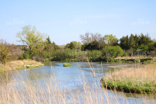 Creek on Pasture 82226
