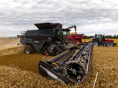 Wheat Harvest 115970