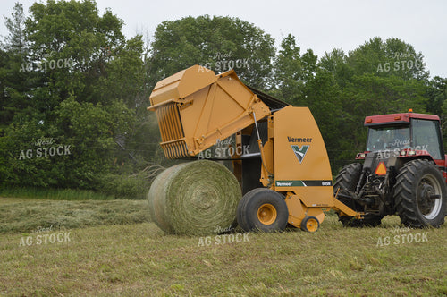 Baling Hay 206029