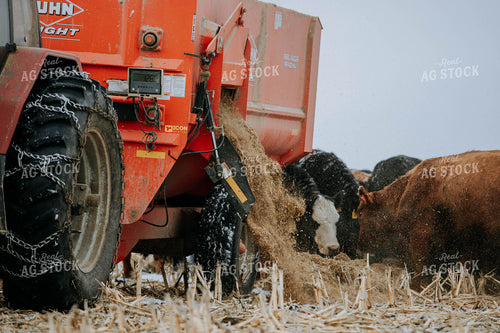 feed mixer Dispensing Feed 77174