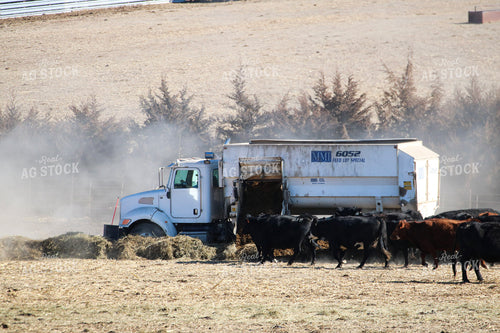 Feeding Cattle 82364