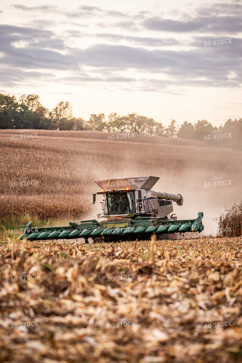 Corn Harvest 270630