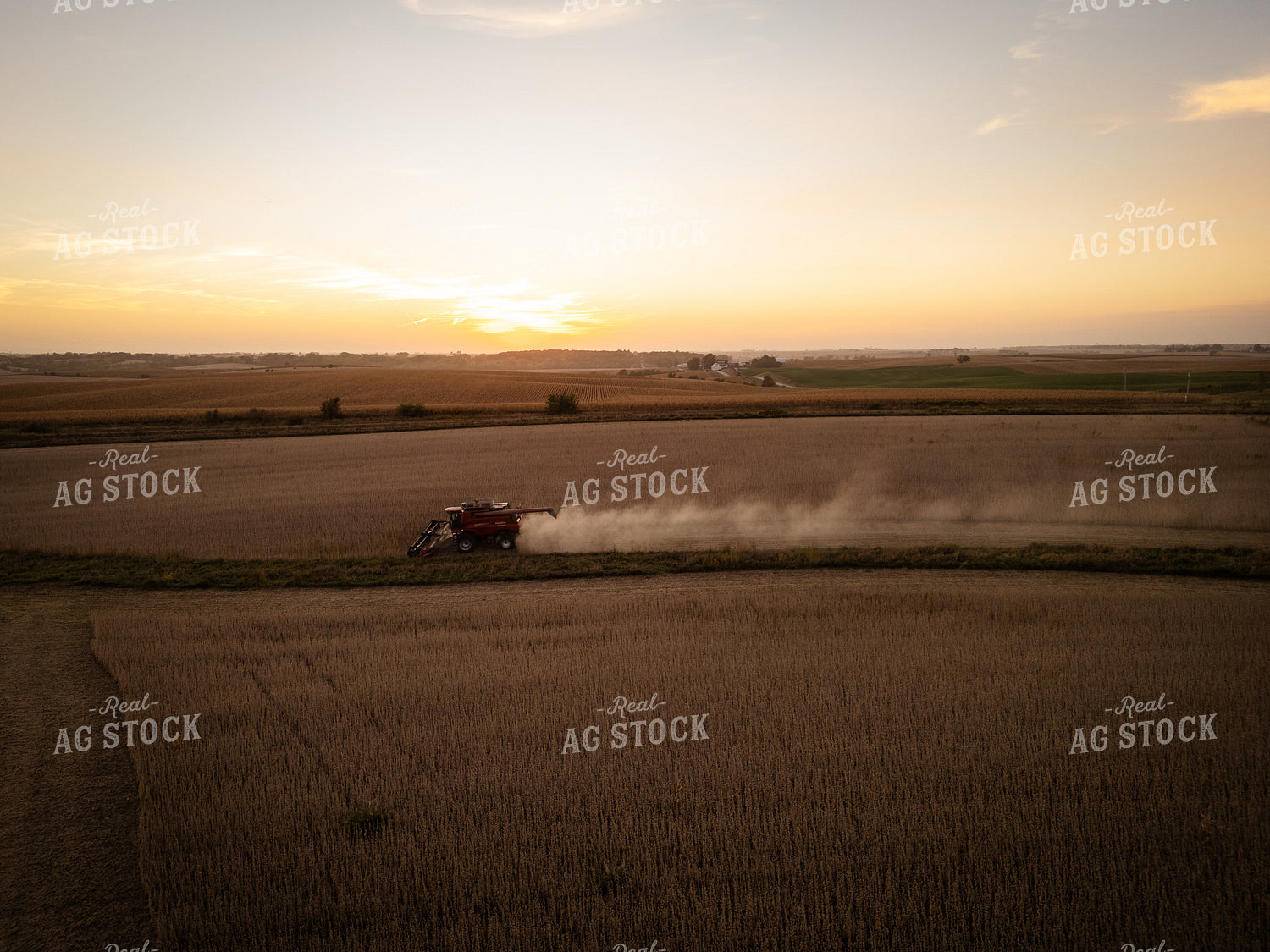 Soybean Harvest 67947