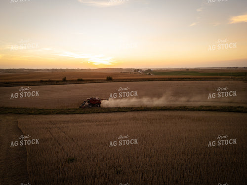 Soybean Harvest 67947