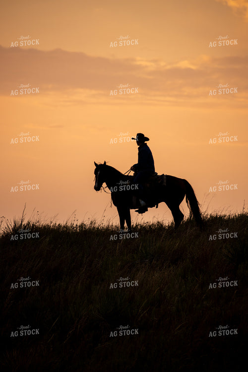 Rancher on Horseback Silhouette 71015