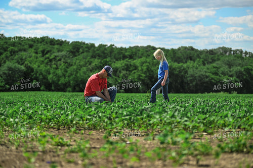 Farmer Scouting Soybean Field With Daughter 191321