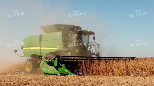 Soybean Harvest 287021