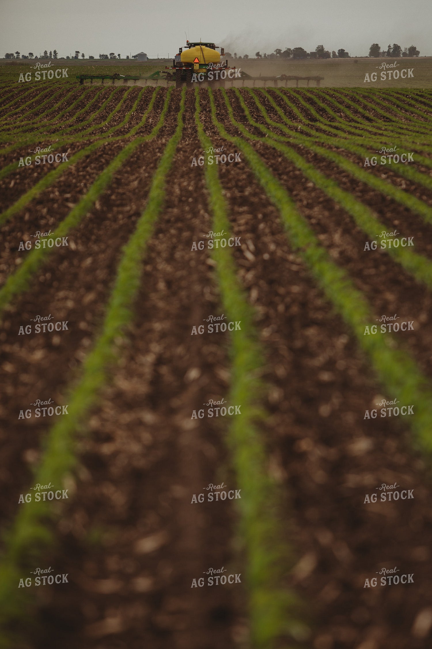 Side Dressing Fertilizer in Corn Field 5738