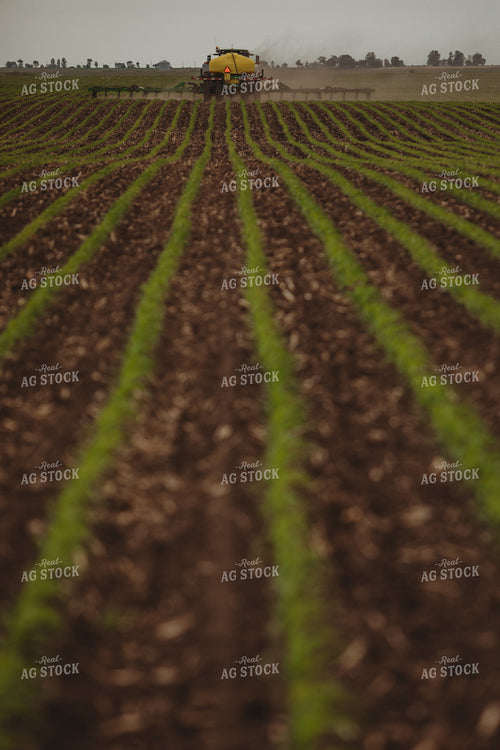 Side Dressing Fertilizer in Corn Field 5738