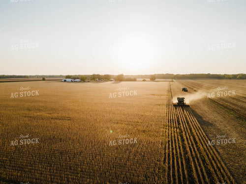 Soybean Harvest 115092