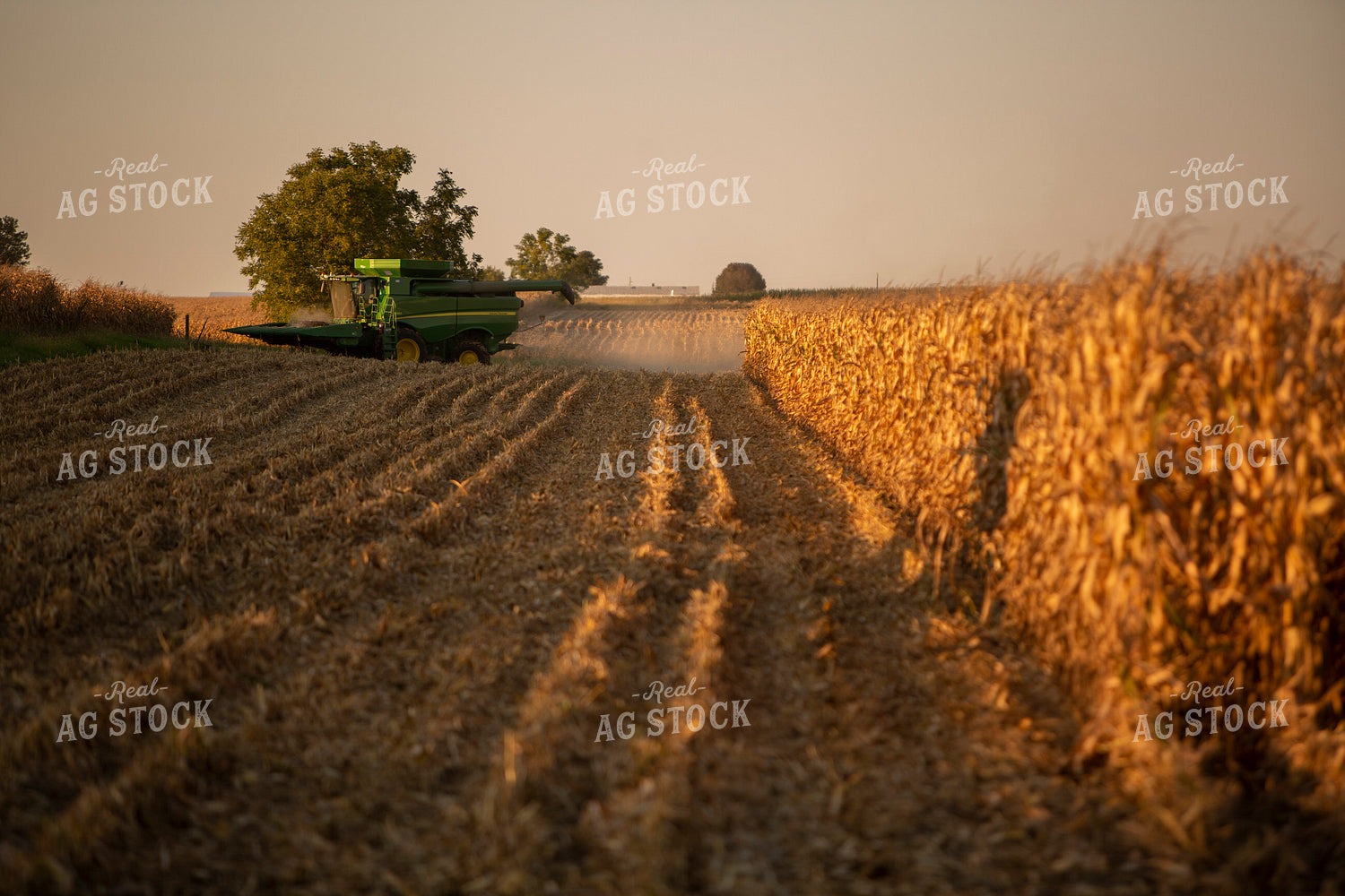 Harvest 2504