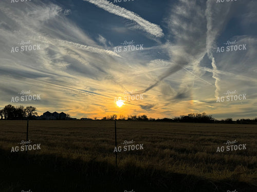 Scenic Pasture 228005