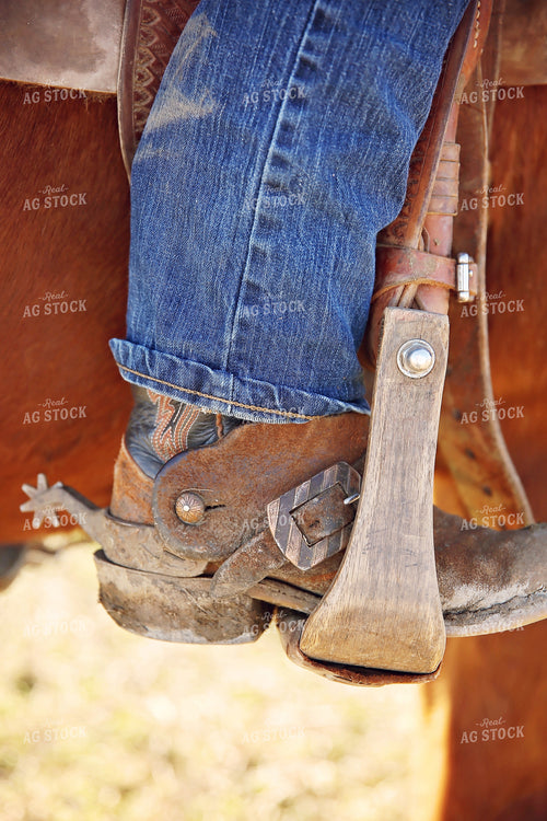 Cowboy Boot in Stirrup 127068