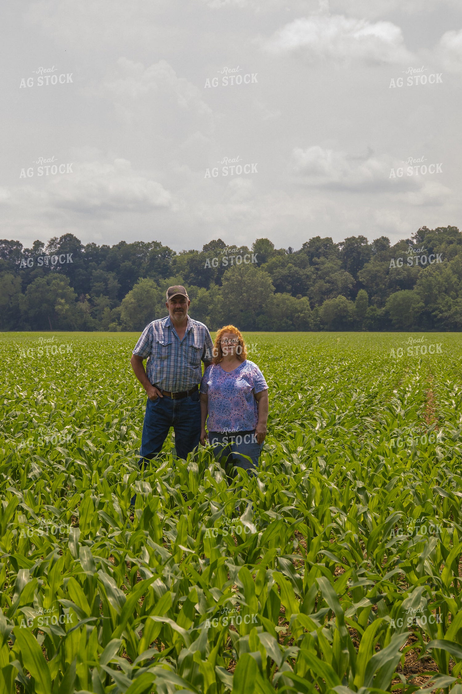 Farmers in Corn Field 52216