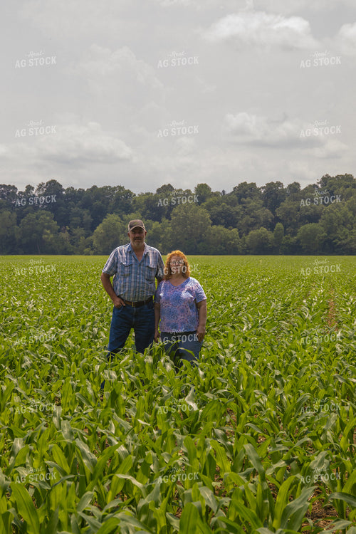 Farmers in Corn Field 52216