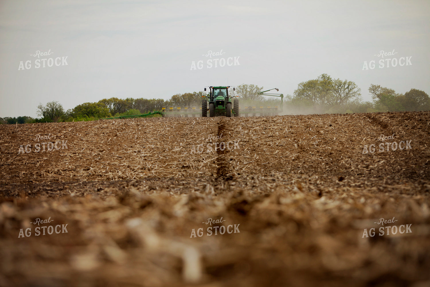 Planting 1976