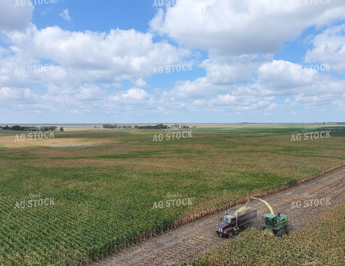 Aerial of Cutting Corn Silage 141732