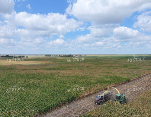 Aerial of Cutting Corn Silage 141732