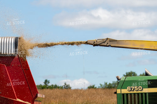 Haylage Harvest 157176