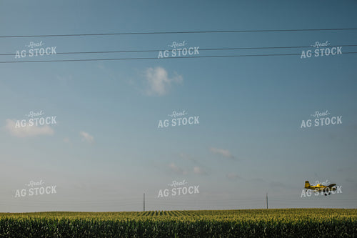 Crop Duster Corn Field 3129