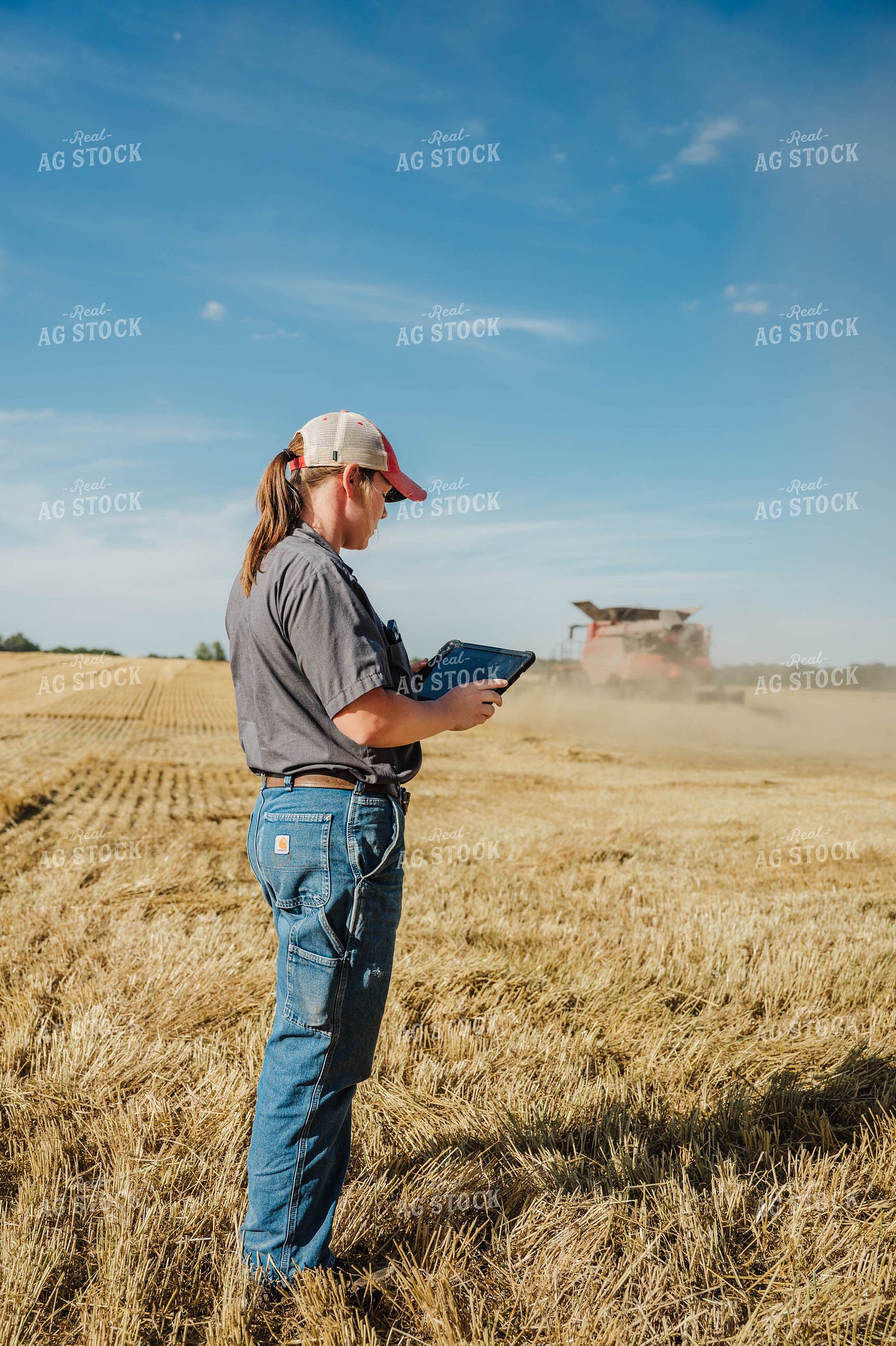 Female Farmer Using Tablet in Field 115225