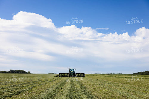 Merging Forage 152440